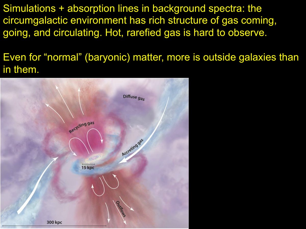 Galaxies are not as isolated as we tend to think - they're embedded not just in tenuous intergalactic medium, but circumgalactic gas w/complex circulation. Just beginning to observe/understand its effects. (Visualization from review by Tumlinson &  @astronomolly)  #BeyondSolSys