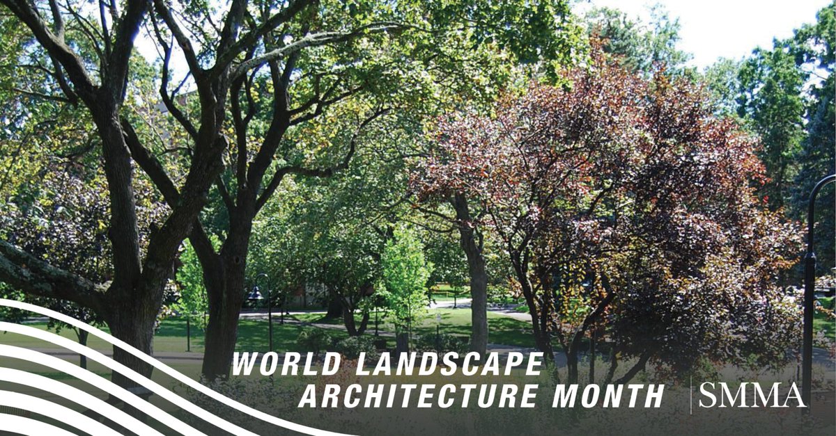 smma_design's tweet image. In our second installment for World Landscape Architecture Month, Senior Landscape Architect Andrew Elliott takes us through the value of trees, and explains how they contribute to wellness, climate change, and more. bit.ly/2UQ75Xw

#WLAM2020 | #SMMA | #WeDesignPlaces