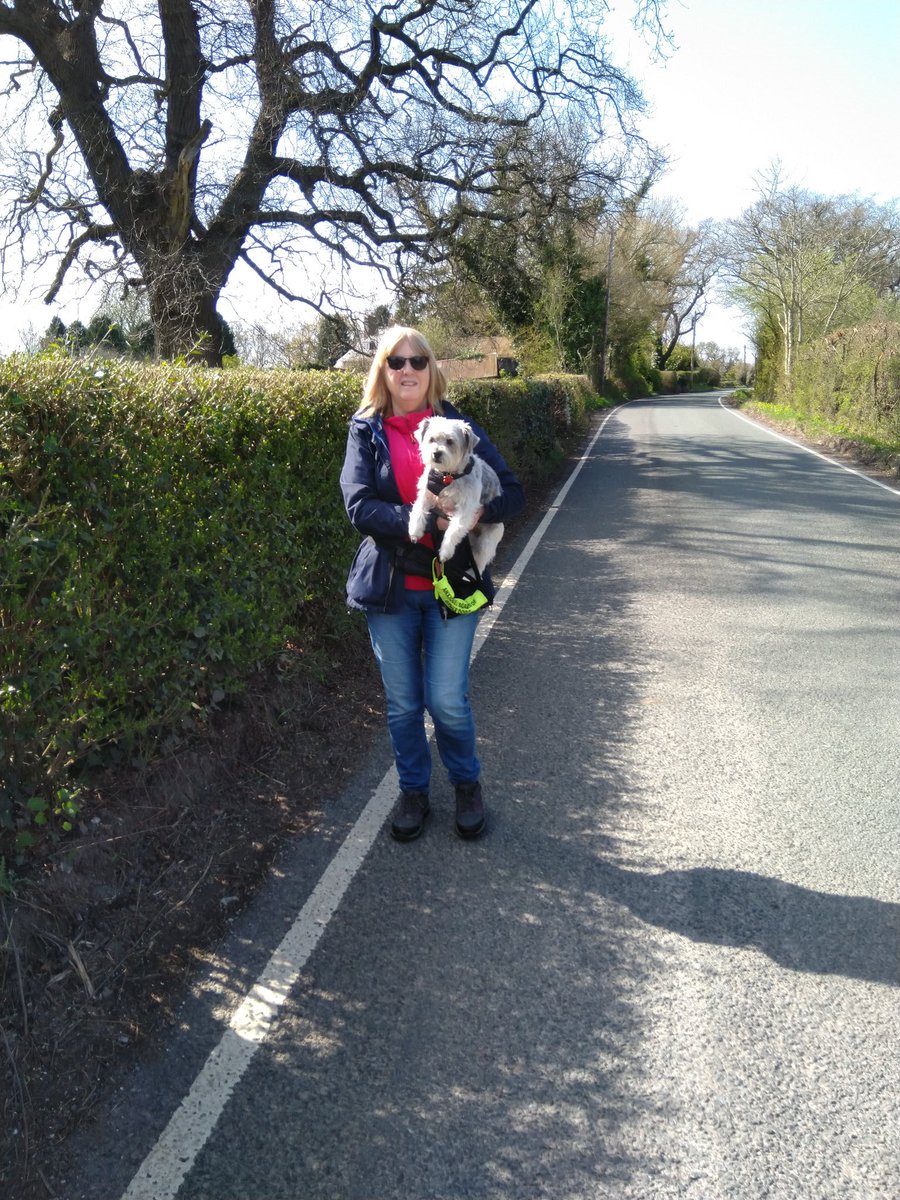 Meant to be a walk in our beautiful countryside (within walking distance for me) but Milly just won't walk at times!! We still love her ❤️🐾❤️