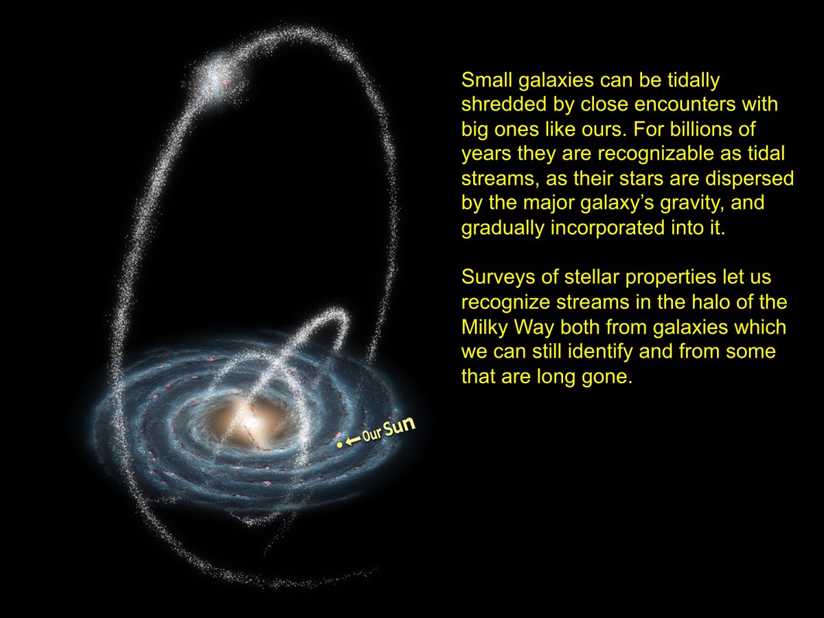 Galaxies can also grow through interactions which are less dramatic (at least for the bigger one). Small galaxies can be incorporated into larger ones, with tides pulling them into long loops or streams of stars. Milky Way has done this.  #BeyondSolSys