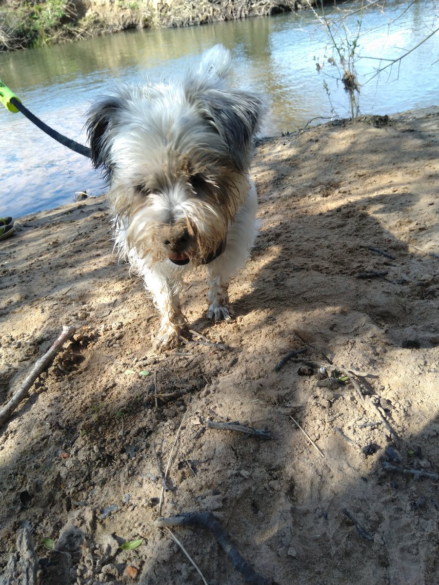 Mucky pup 😯❤️😁❤️