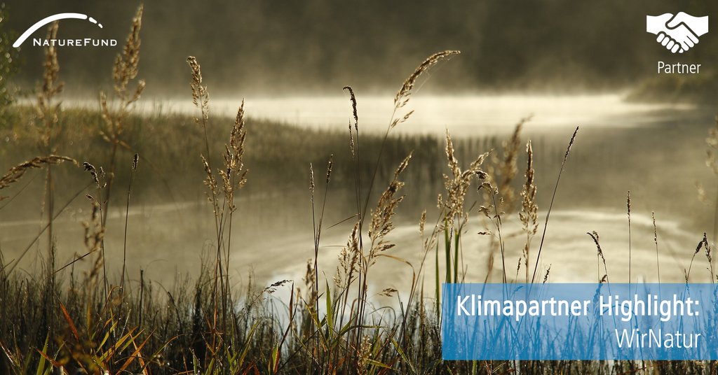 Naturefund's tweet photo. Heute stellen wir Euch unseren Klimapartner WirNatur vor. WirNatur ist eine Internetplattform, die gesundheits- und umweltbewusste Menschen bei ihren täglichen Konsumentscheidungen unterstützen. WirNatur hat durch die Unterstützung unserer Projekte bereits 24 t CO2 kompensiert. https://t.co/T4b2XbSDcJ