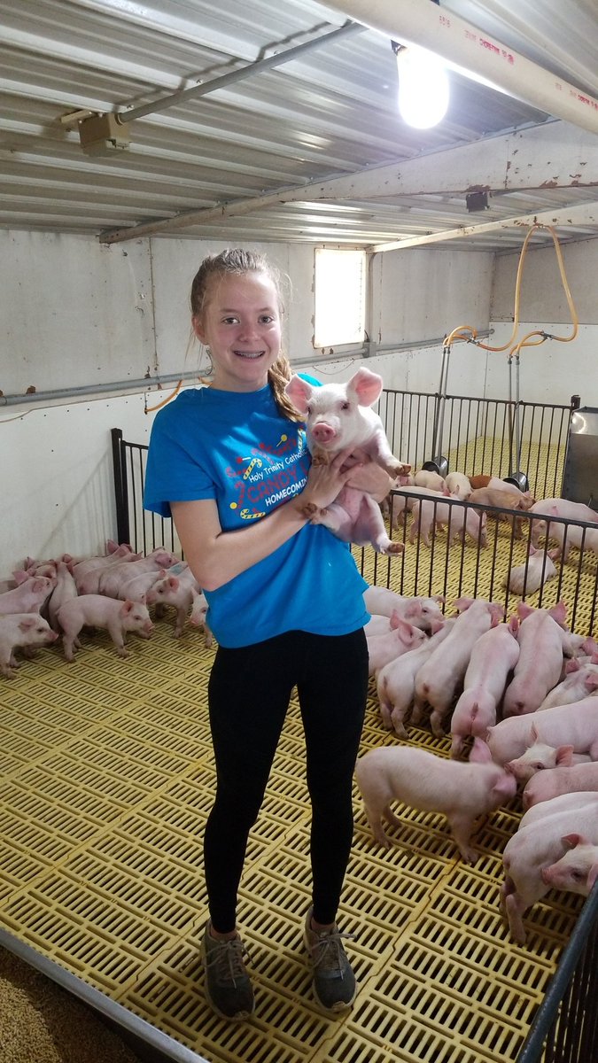 jdingman2899's tweet photo. Just because they're not in school doesn't mean they aren't learning. #iapork #iowafarmgirl https://t.co/HrMQRkPoFO