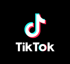 amadeobh's tweet photo. @LaurelAynne TikTok offers services and resources to make its users be very creative during this time. Users have created different videos that have become very trendy across the world and have been an object of inspiration/useful against boredom, increasing popularity. #LWU482Strat #ICMKTG https://t.co/RwjkIgLmvc