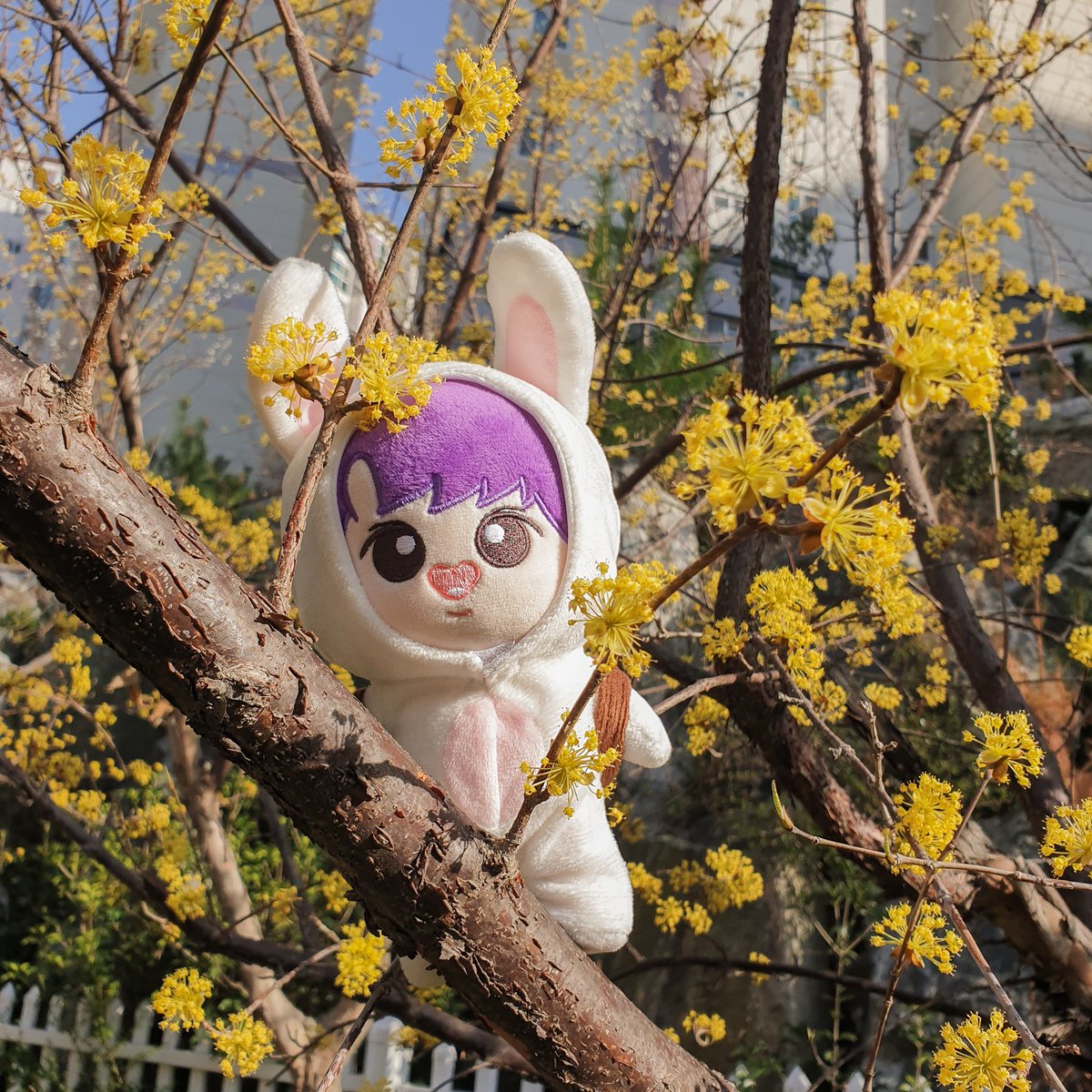 mongglewoon's tweet photo. 🥕몽글우니🥕 D-2

현재 몽글우니는 최소수량 부족으로 제작이 무산될 수 있습니다 😭😭

아직 입금을 못하신 분들은 얼른 입금을 서둘러주세요!! https://t.co/2fY07U6Wth