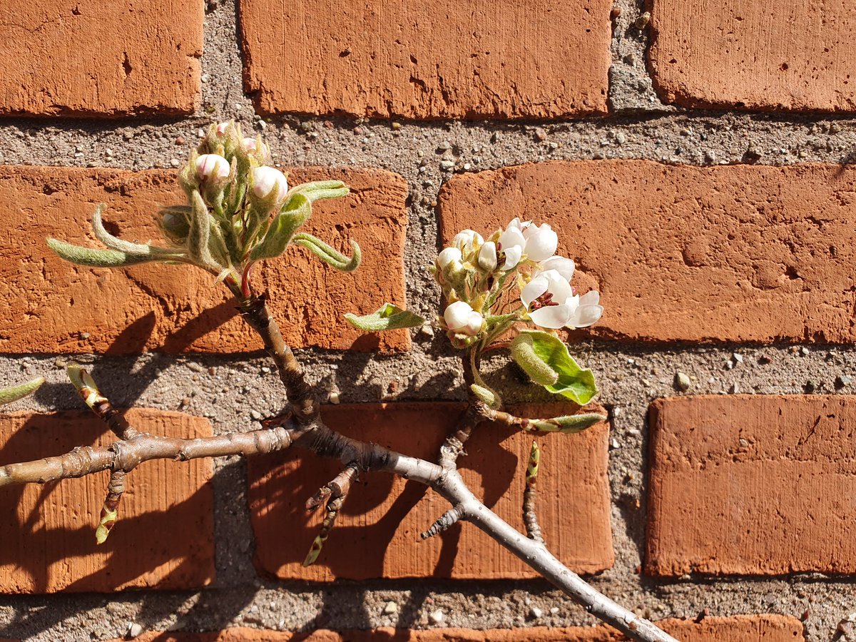 Diese Jahreszeit ist so wunderbar.