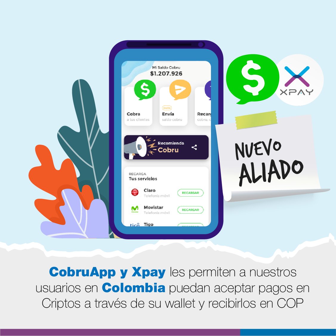 XpayCash's tweet photo. #Xpay | Tenemos una alianza con @CobruApp para que nuestros usuarios en #Colombia puedan aceptar pagos en #Criptos a través de su #Wallet y recibirlos en COP directamente en sus cuentas bancarias.🇨🇴 Sin duda ¡Aceptar #Criptoactivos nunca fue tan fácil! #Cobru #CobruApp https://t.co/NE8CmhfetQ