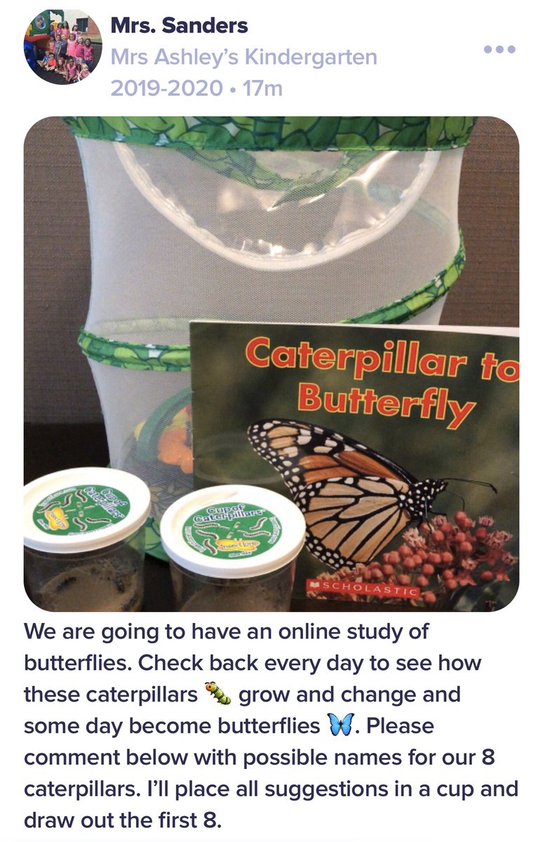 Kicking off our butterfly life cycle study. #homelearninghub  <a href="/CENT_Tweets/">Centennial Panthers</a>