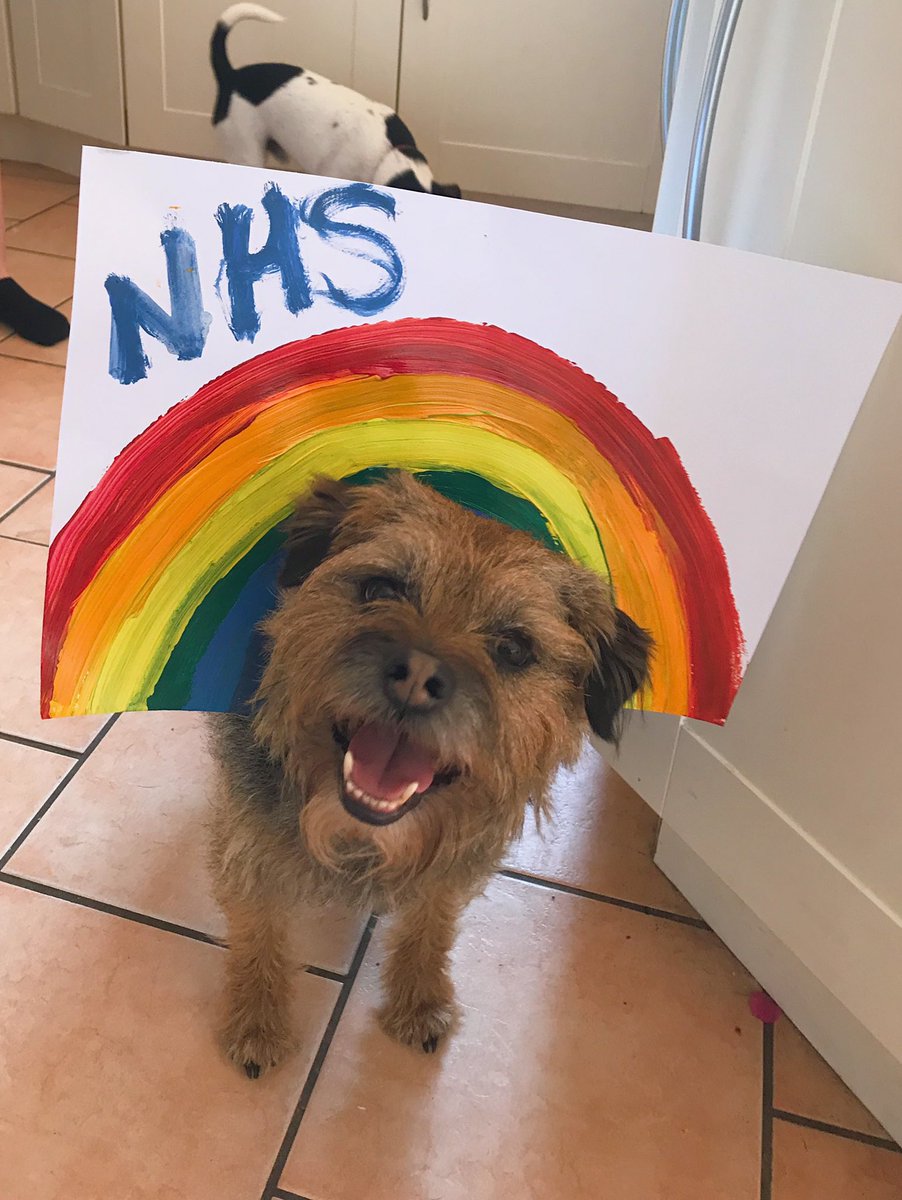 My puppy, Grizzy, would like to thank NHS staff working hard to keep us safe   #StayAtHome  