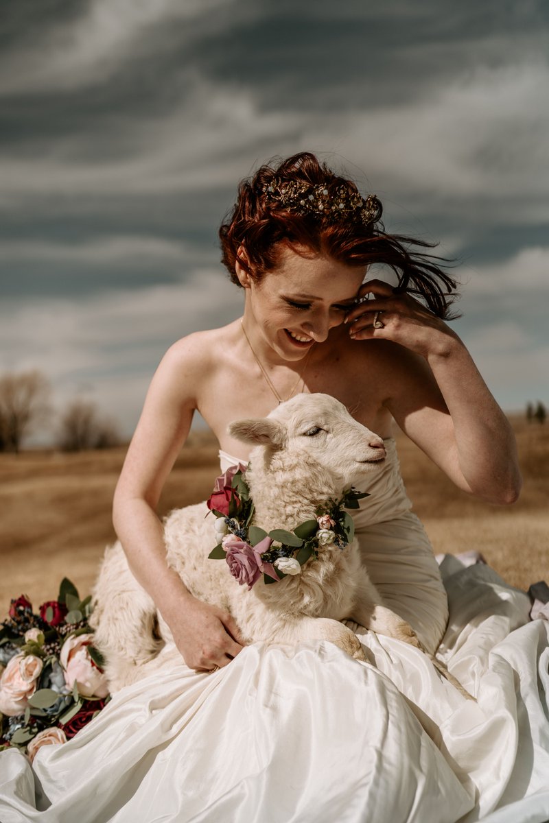 CompassRoseFlo1's tweet photo. Happy national zoo lovers day from your friends at Compass Rose Floral! https://t.co/y4aBMft6Sx
#fauxflowers #realbeauty #ecofriendly #sustainability #nopesticides #nofertilizers #weddingandevents
#events #weddings #subscriptions
#jointhefam #fauxnotreal #flowerpower https://t.co/gbvNVM0aYs