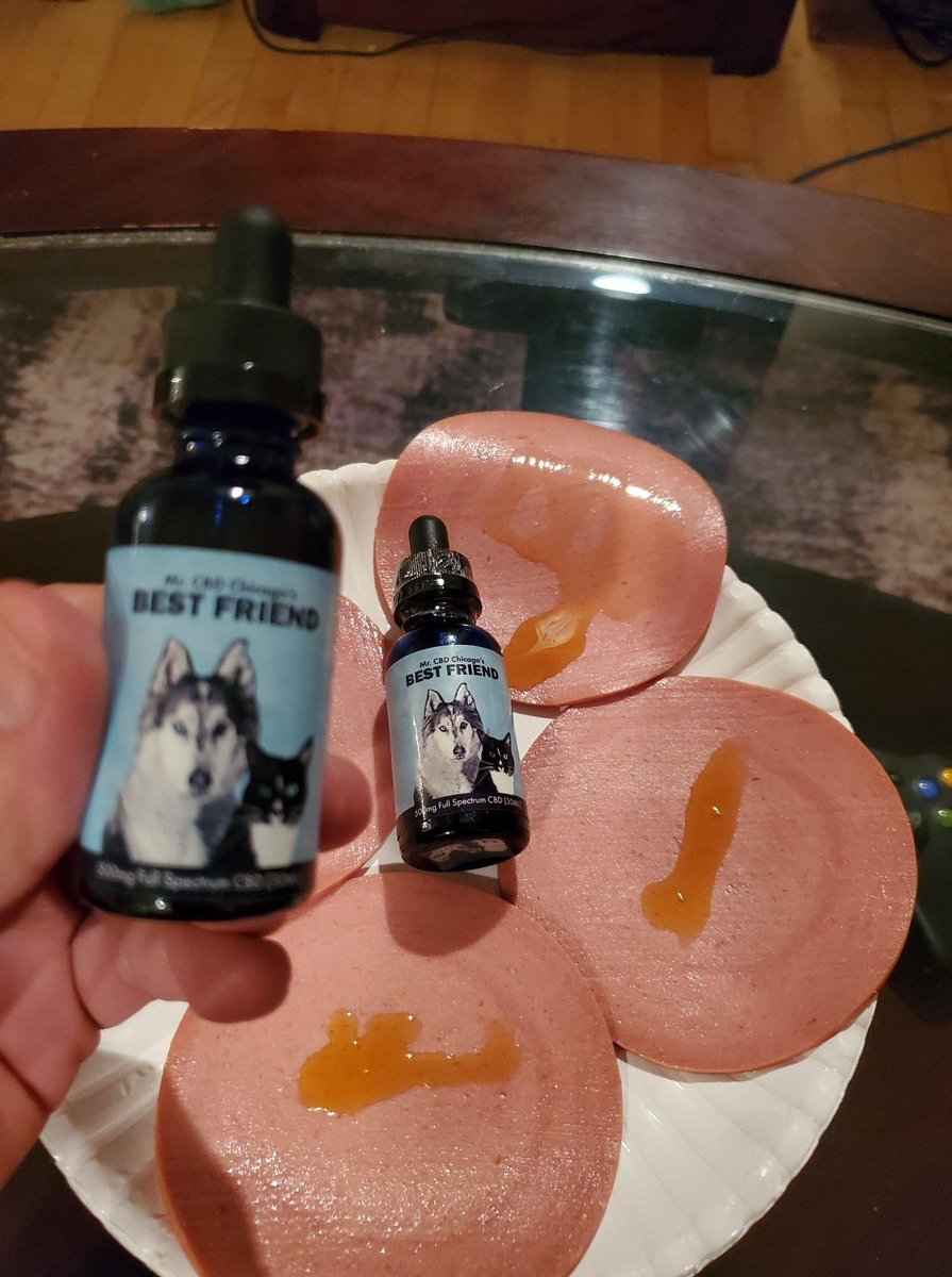 chicago_cbd's tweet photo. Thunderstorms bother your Best Friends?
Try Salmon &amp; Full Spectrum CBD Oil &amp; see the results for yourself.  Thunder, fireworks, joint health, curb anxiety of your Best Friends.
Order now https://t.co/XBdFPaZ4hJ https://t.co/piYQjLmDv7