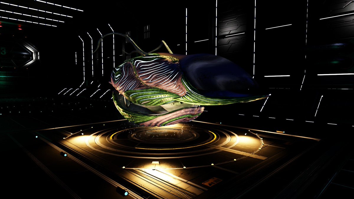 Ouji_W_Ouzen's tweet image. So after a lot of work and a lot of patients I finally have my living ship and man is it pretty! 
#Nomans