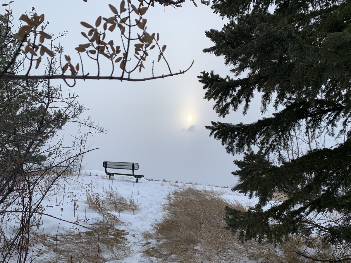 Denise13F's tweet photo. 2nd day windchill-11 w\75kph wind. Snow &amp; ice melt w\ strong wind has me indoors. I'm not fighting the wind to run on ice.#SelfCare #Drawing #Gaming #BoardGames #Puzzles #Cannabis #MentalHealth #MindfulnessActivity #iNeedToRun #HomeGym #StairClimb #iAmCreative

CAPTION THIS👇 https://t.co/2950RwlCrw