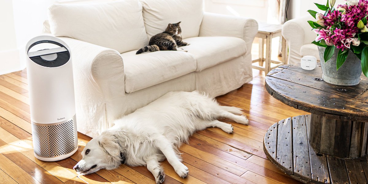 TruSensWellness's tweet photo. Now you can cuddle up to your pets a little closer! The NEW TruSens™ Pet Filter is specially designed to combat pet dander, hair, and odors.
#TruSens #PetFilter #PetAllergies https://t.co/WZgwvpD3w5