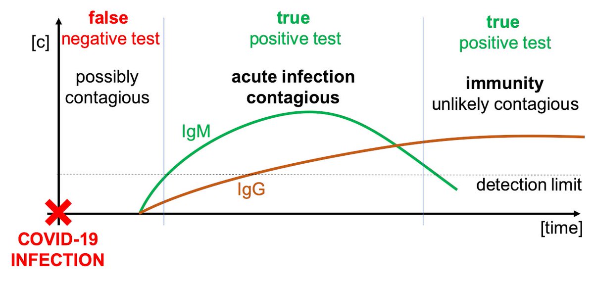 First experiences with the  #COVID19  #AntibodyTest - here is what we found:Observation 1: Getting immune to  #COVID19 ATTENTION: right after the infection the test will still be negative even though one has  #COVID19 Antibodies need time to form and be detectable.