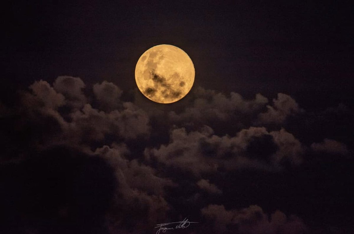museudanatureza's tweet photo. Na última terça (7) a #superlua estava linda nos céus da região da #SerradaCapivara! Quem não viu, olha só um dos registros do @joaquimtneto11 (no Instagram) 🤩
.
#superlua2020 #fiqueemcasa #fenomenosdanatureza #museuemcasa #MuseudaNatureza #MuNa #piauí #Brasil https://t.co/VWim9HE417