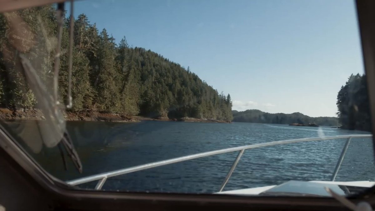 Shearwater tweet media