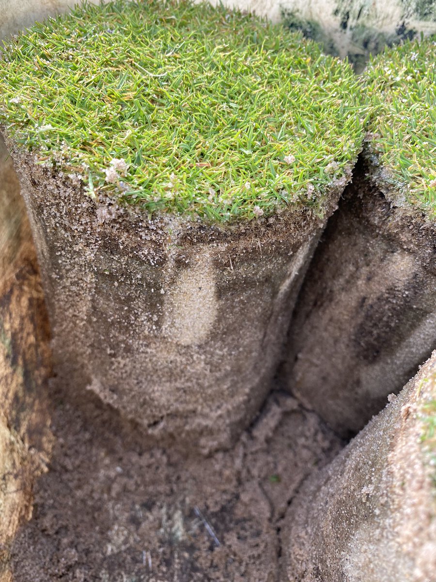 LukeKringler's tweet photo. Result of a DryJect treatment https://t.co/5sWqONPXrV