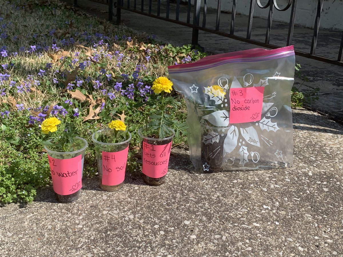 Ms. Lapp tweet media