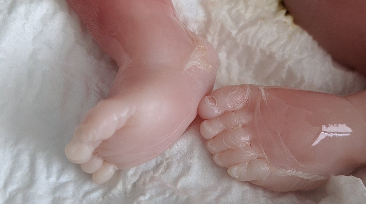 CanadianDisaster🇨🇦🏳️‍🌈 tweet media