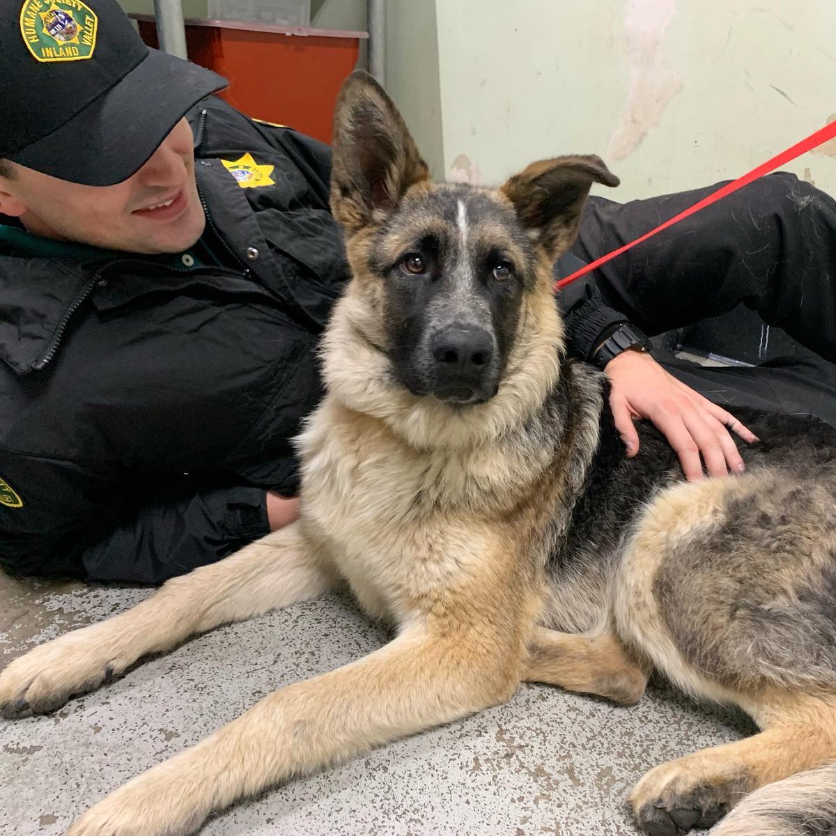 inland valley humane society & spca