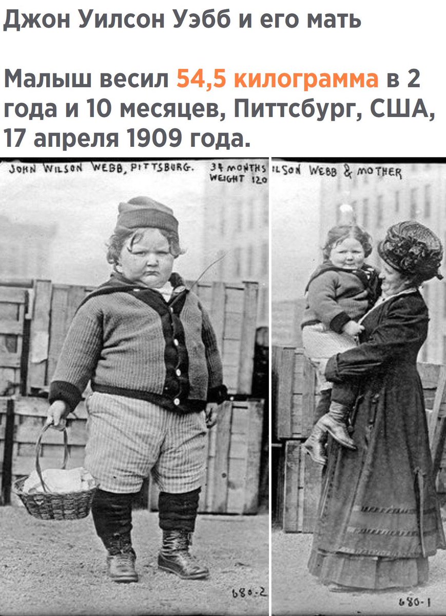 Случайные Факты (@fact_yes) on Twitter photo 