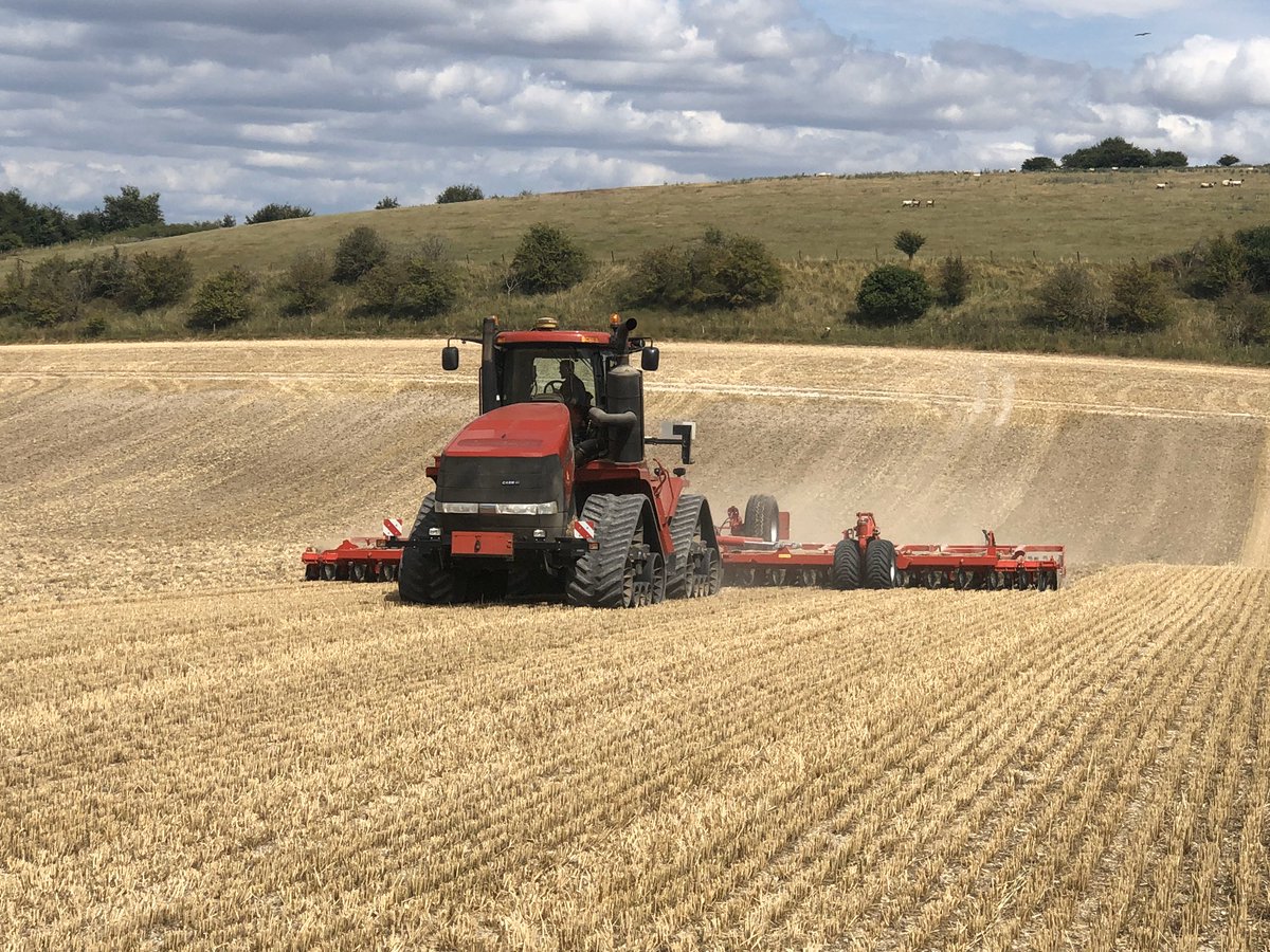 Big effort from the team. 2 big weeks and that’s the last of the peas going in. #12CTF... 🤞👌🏿 good effort all <a href="/Preston1Ian/">Ian Preston</a> #rooksnestestates