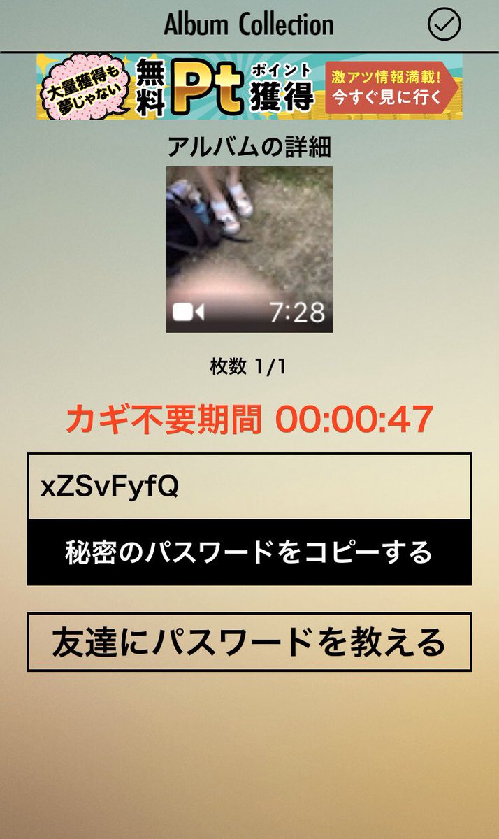 洋炉　ハメ  / X