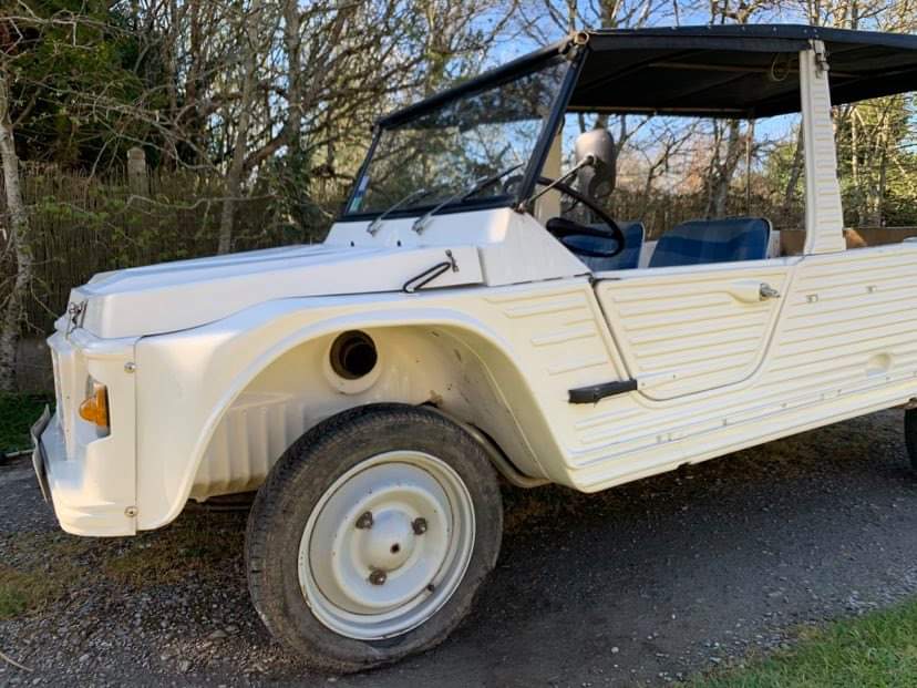 AssoPointCom's tweet photo. @josiecotefellee fait son ménage de printemps ! Et elle reste fidèle à elle même #passionvoiture https://t.co/2tluJhQaq0