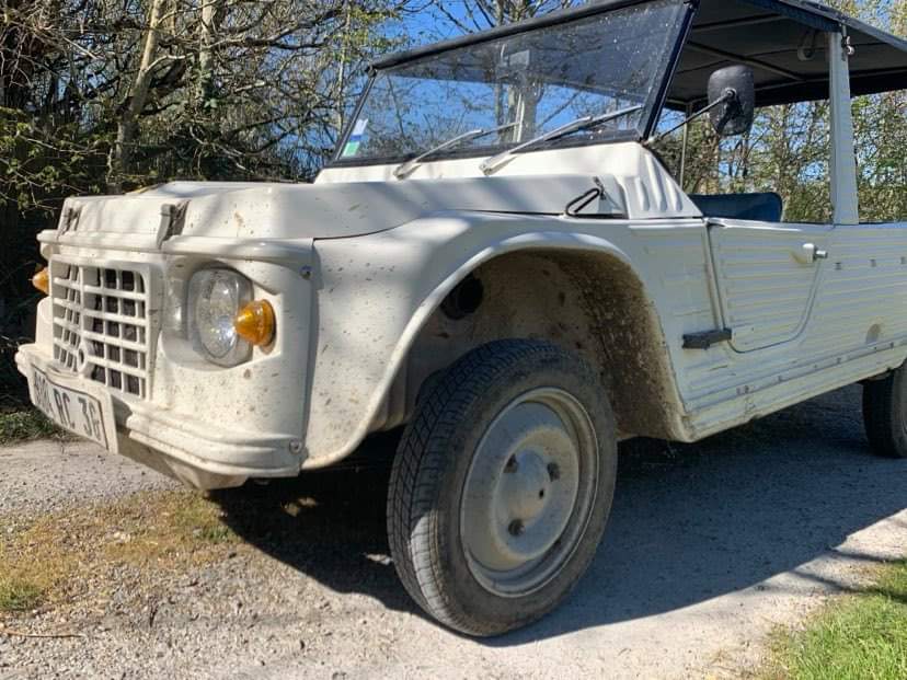 AssoPointCom's tweet photo. @josiecotefellee fait son ménage de printemps ! Et elle reste fidèle à elle même #passionvoiture https://t.co/2tluJhQaq0