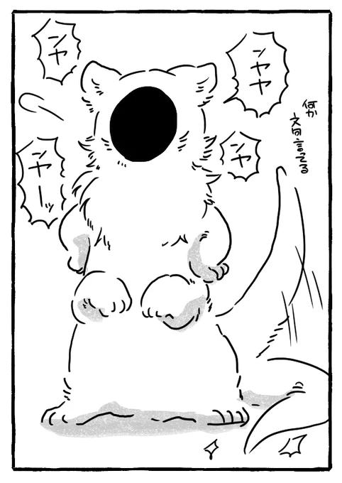 貂 