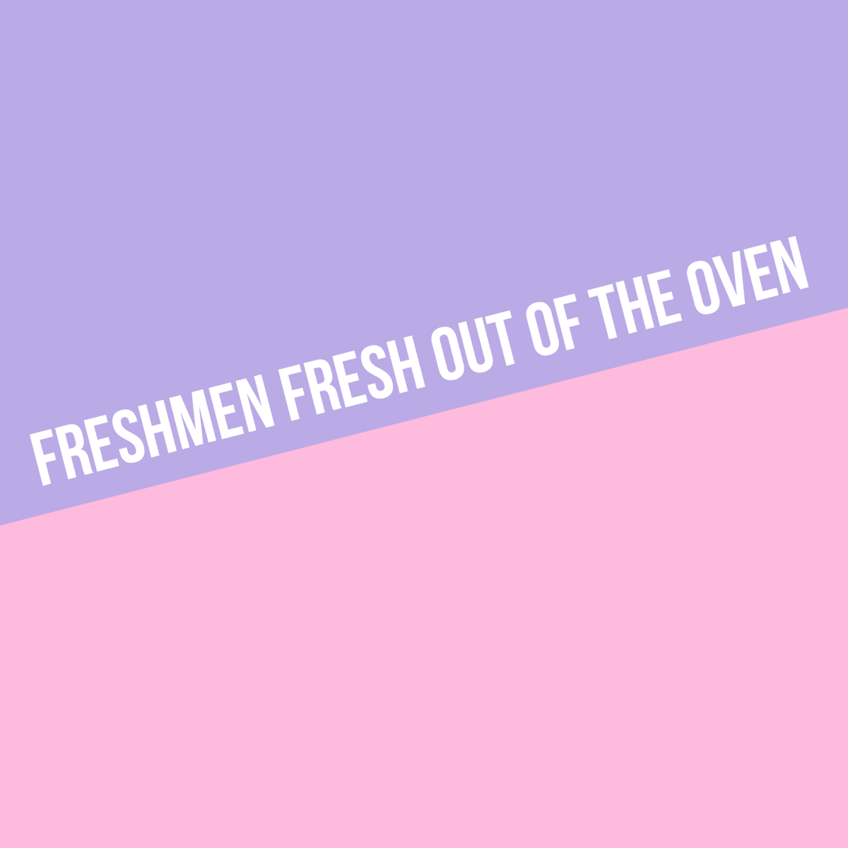 Marian High School tweet media