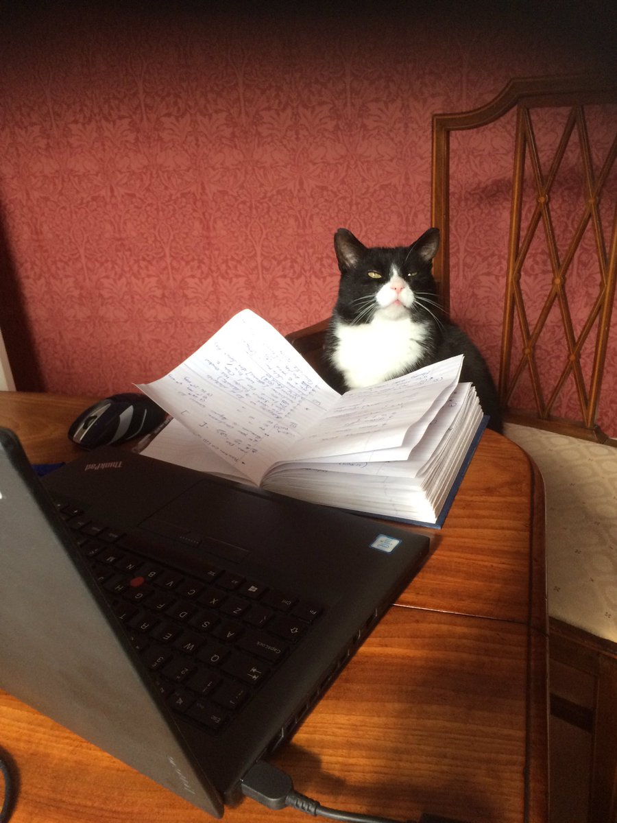 jonathan_head68's tweet photo. @Number10cat Mr Winston likes to help as much as possible.. https://t.co/B4cOgKut5i