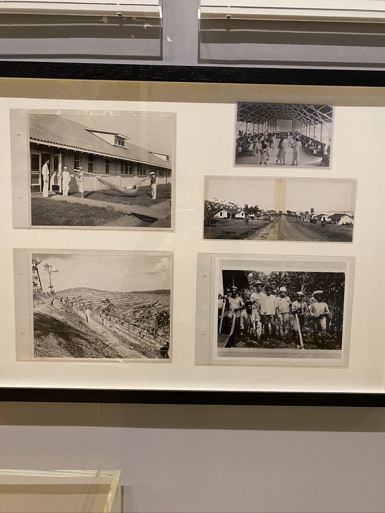 78 What did he call it? Fordlandia of course. He set stringent guidelines for his workers. Alcohol, women, tobacco and even football were forbidden. American food served in the canteen. After many worker revolts and difficulties in production, the project was abandoned in 1934.