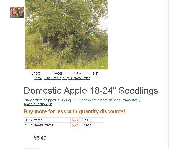 HudsonWard3's tweet photo. Hudson Phase 2 development: "How 'bout them apples?" May be time to consider planting those apple orchard saplings now after recent Council decisions on dumping the developer and not buying Windstream property. We may get in a few harvests before any dirt is moved on P2! https://t.co/JjwHTZBIwy