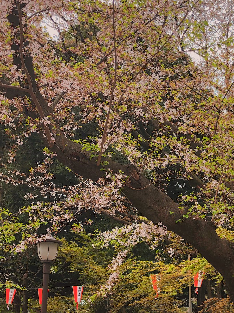 juliine05's tweet photo. Mes meilleures photos du Japon ⬇️ https://t.co/LWulYdhSZ2