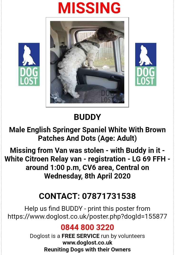 BUDDY'S DOGLOST PAGE now up https://www.doglost.co.uk/dog-blog.php?dogId=155877