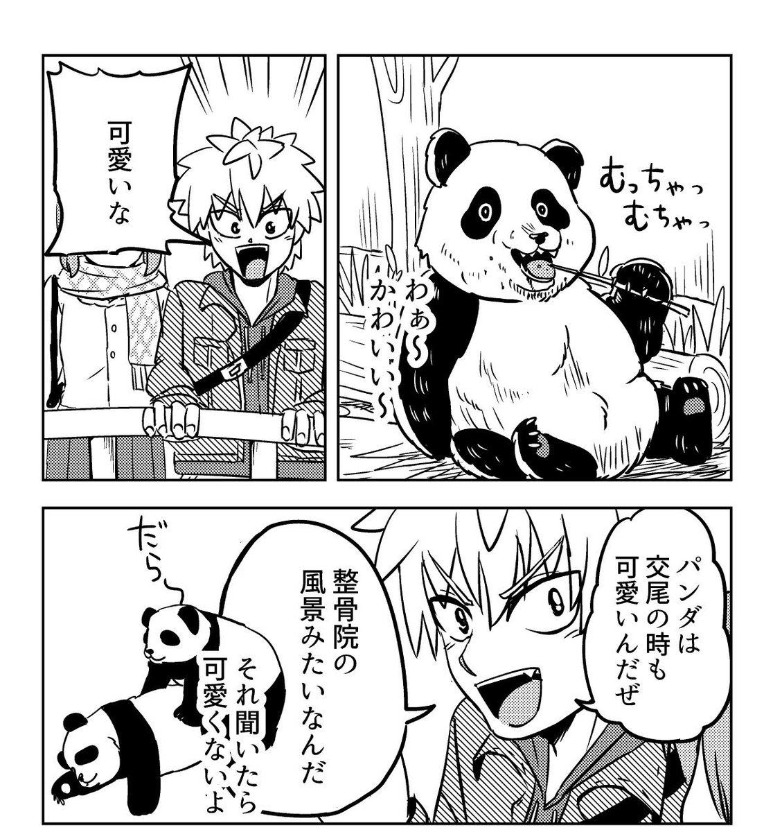 パンダの交尾見たいな 