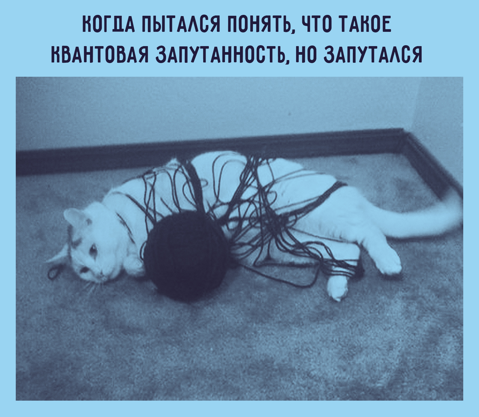 EVGDVeiWoAIJQmr.jpg:large