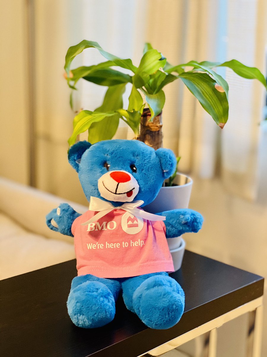 Today <a href="/BMO/">BMO</a> TeamChamplain is celebrating diversity, demanding equality &amp; standing in solidarity. A very special #DayofPink2020 at a very special time #FightCovid19. #StopTheSpread #StopBullyingNow <a href="/robparrott2801/">Rob</a> <a href="/kitamura_james/">James Kitamura</a> <a href="/lifeatbmo/">Life at BMO</a>