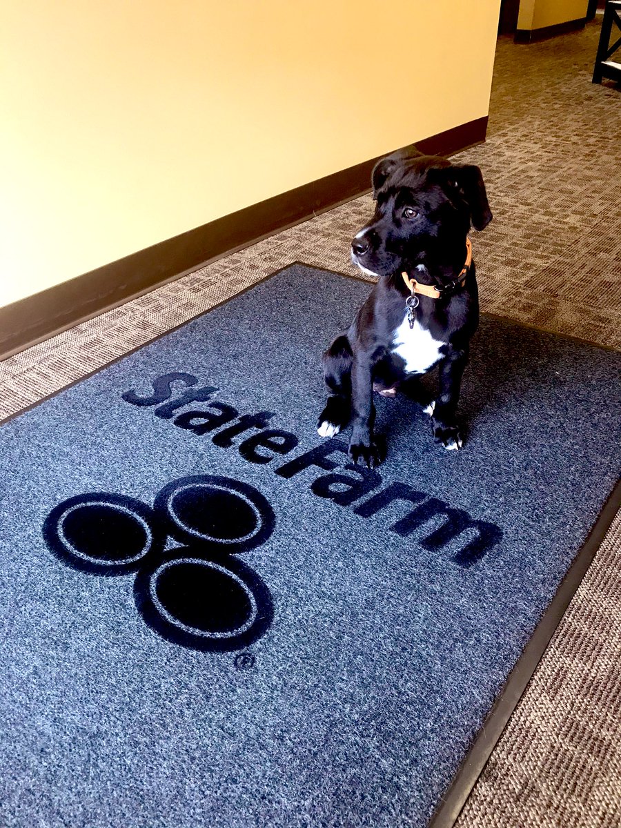 SFAgentMikeD's tweet photo. Bentley wondering why customers can’t come in to play with him https://t.co/MCr1KIz3Lp