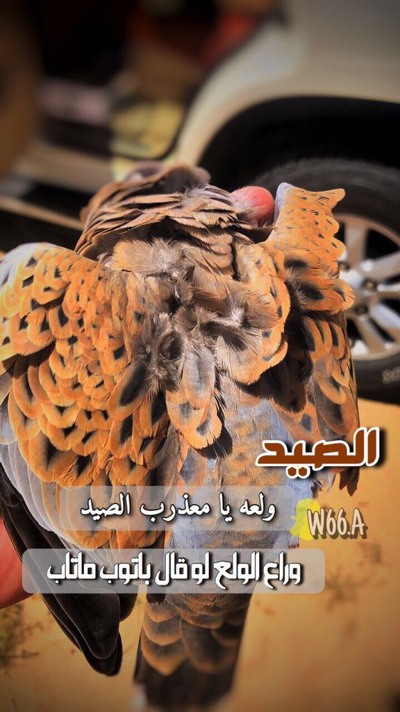 ﮼W✨ tweet media