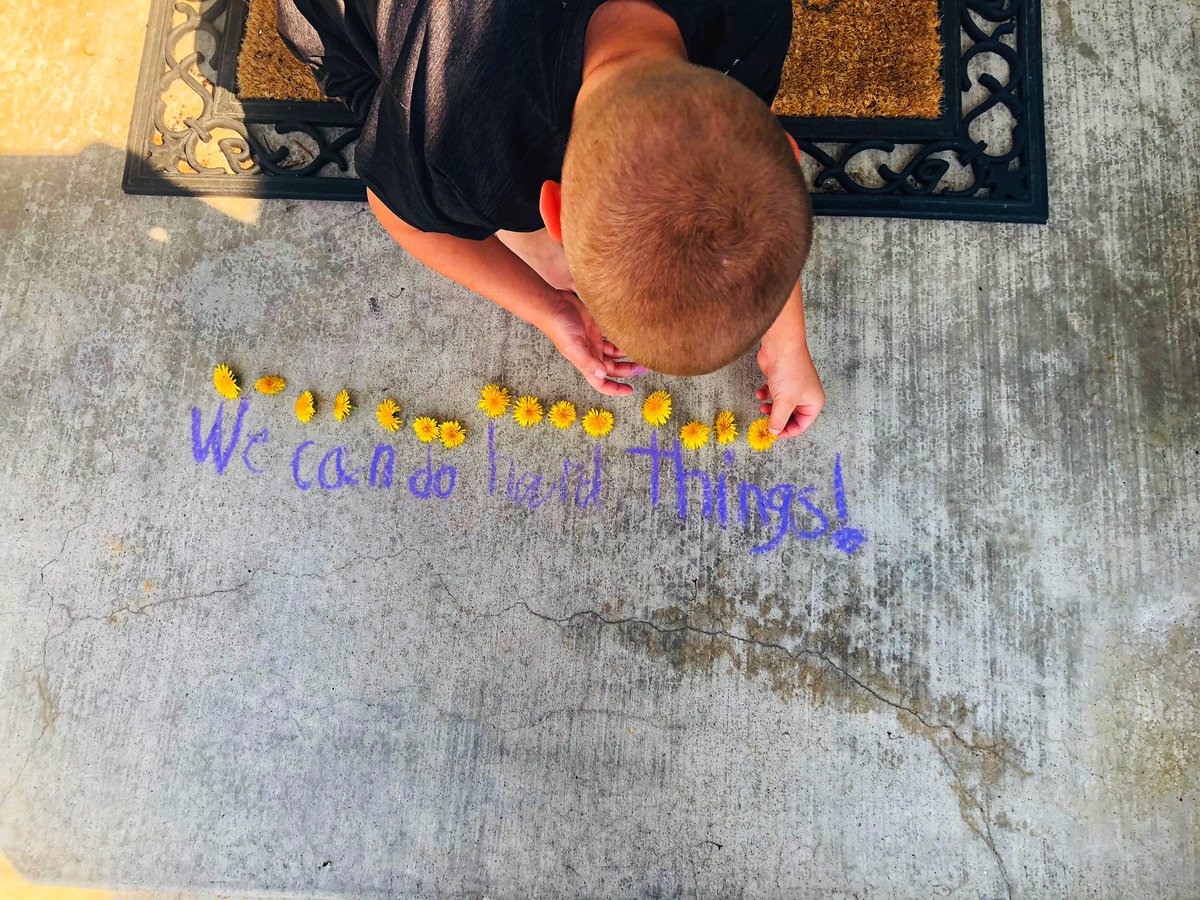 Denise Morris tweet media