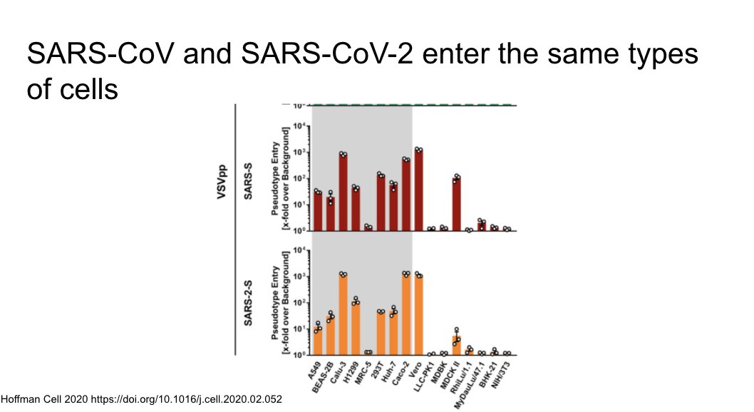 SARS 1 and 2 both enter the same types of cells https://www.sciencedirect.com/science/article/pii/S0092867420302294