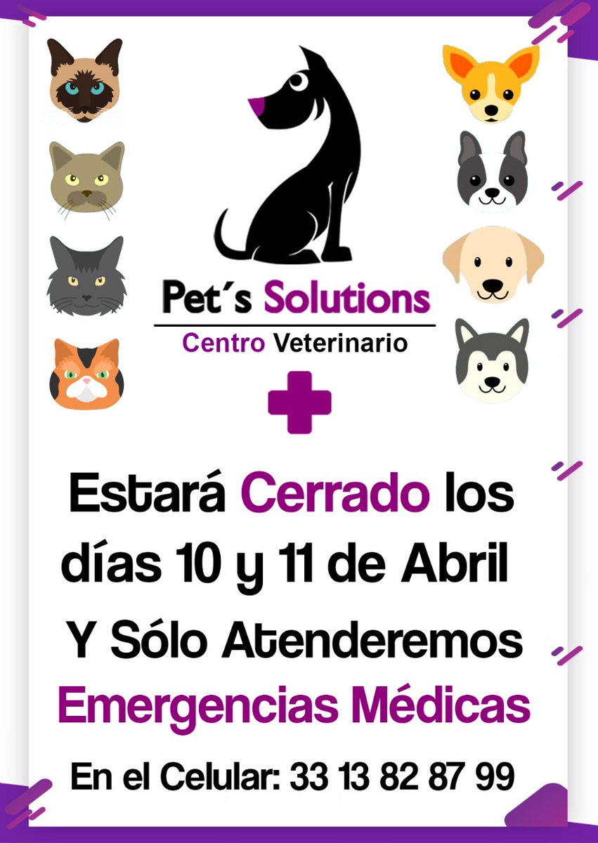 Pet' Solutions Vet tweet media