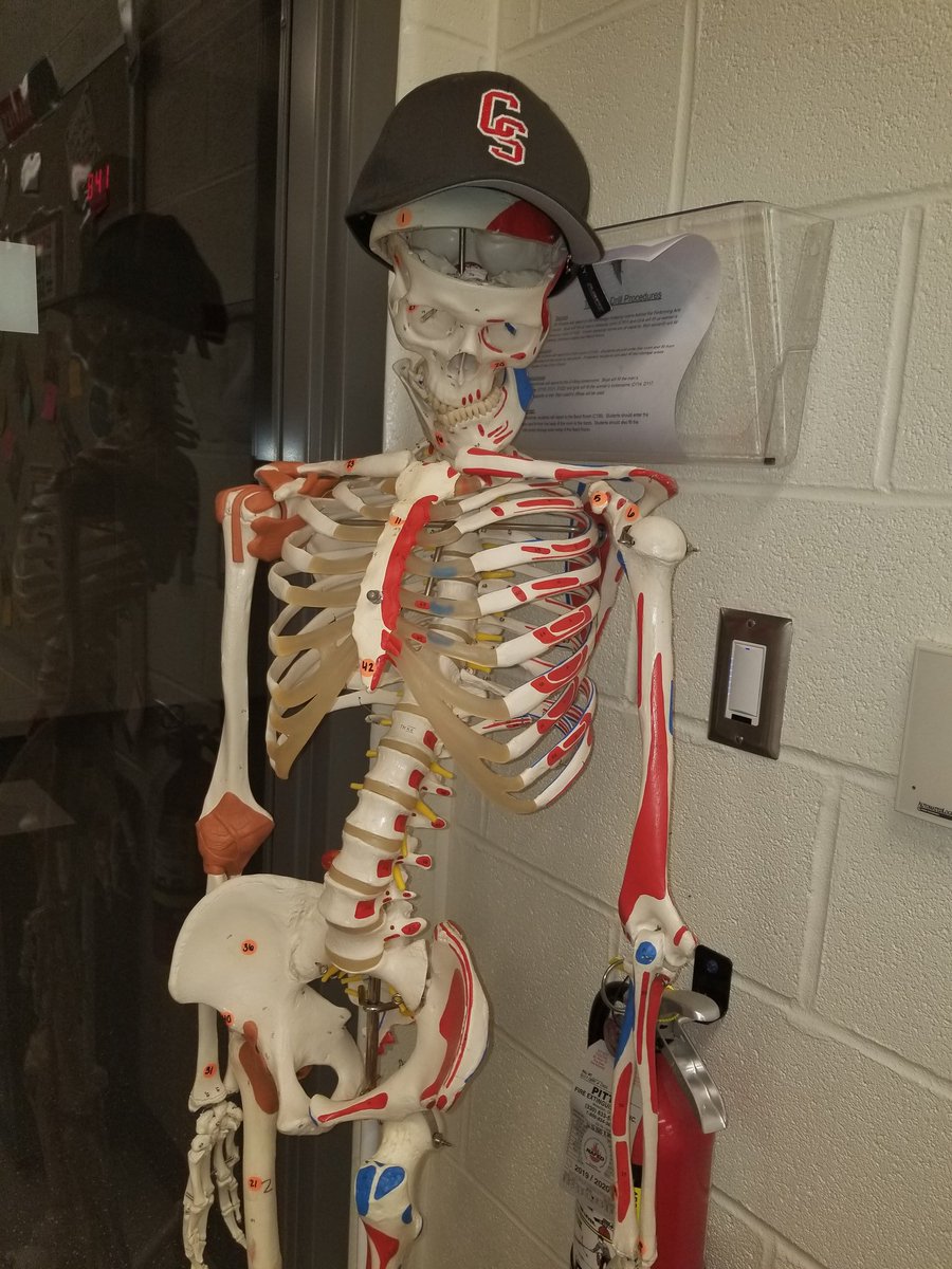 CS Sports Medicine tweet media