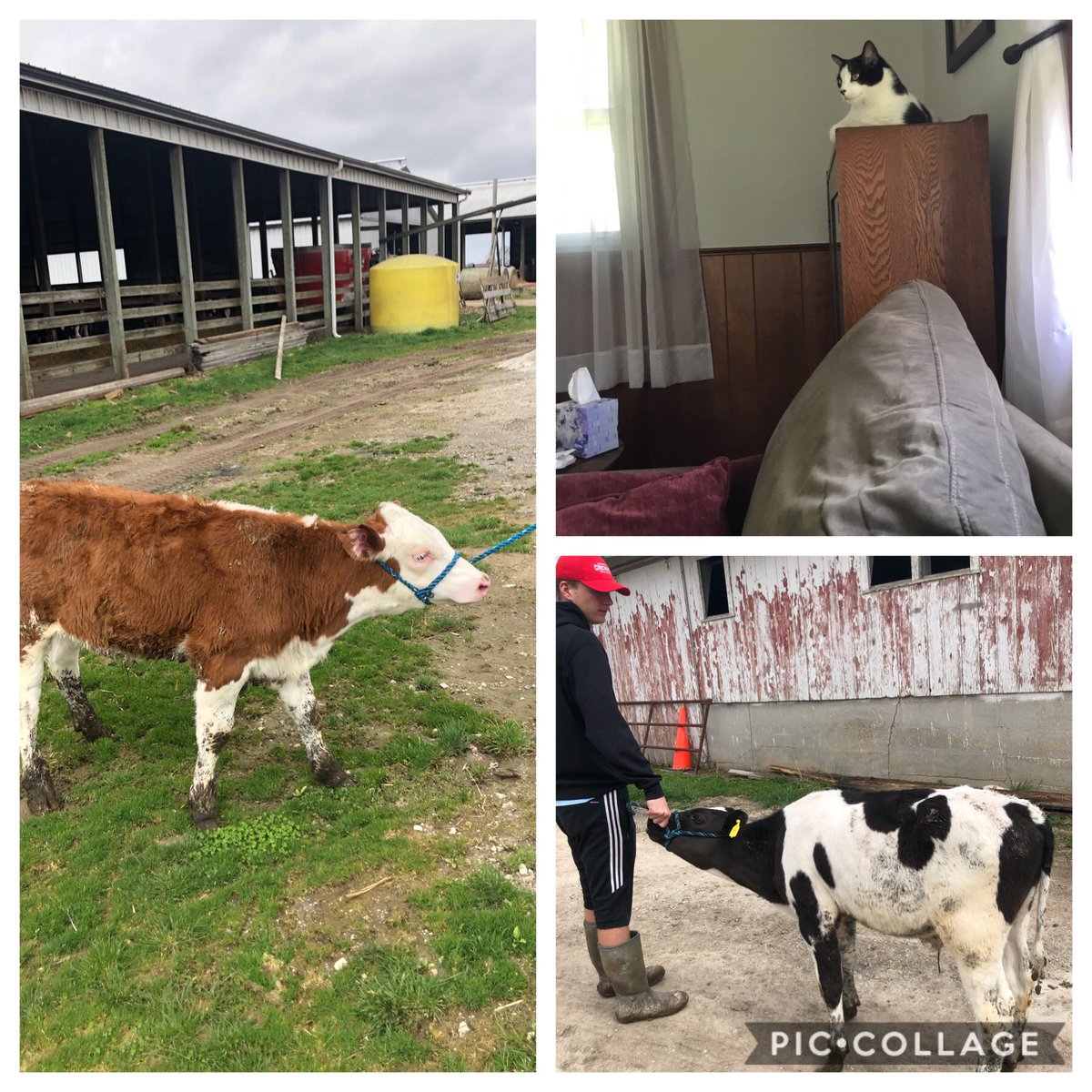 Mrs. Kramer tweet media