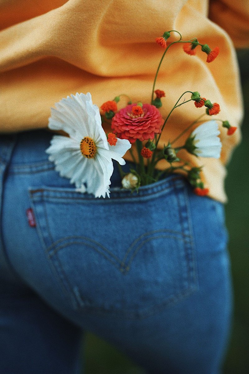 🌺