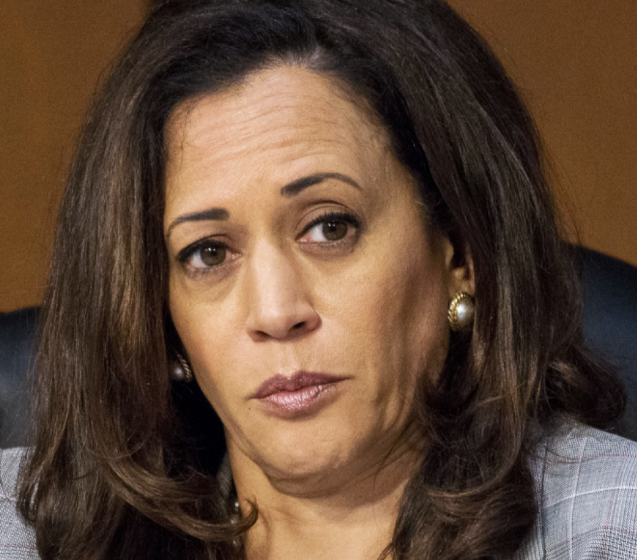 .Is it a coincidence that Kamala Harris Harris and Cory Booker are leading the Democrat's demand that Covid-19 race statistics be headlined just when the Democrat Party needs a brand new race card?