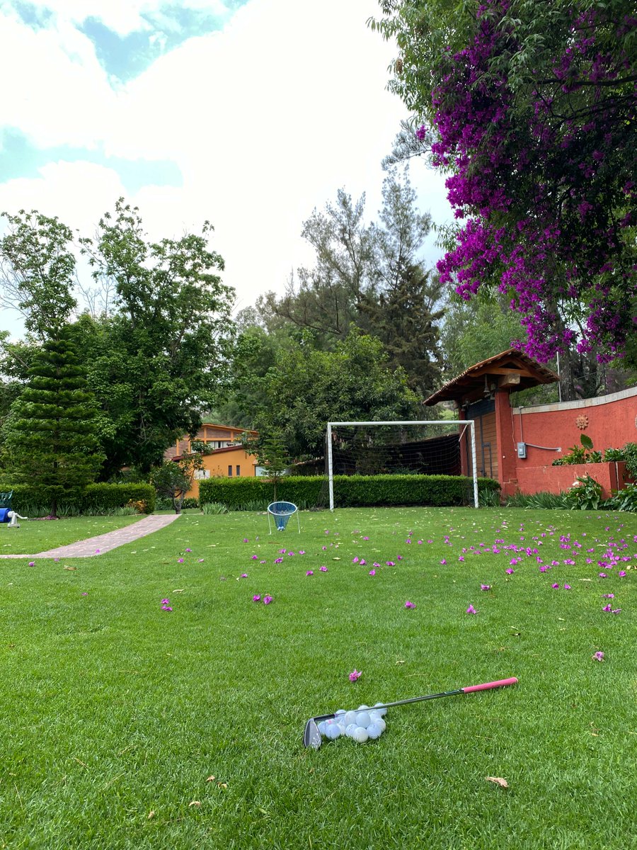 𝕀𝕟 𝕥𝕙𝕖 𝕞𝕚𝕕𝕕𝕝𝕖 𝕠𝕗 𝕒𝕕𝕧𝕖𝕣𝕤𝕚𝕥𝕪, 𝕥𝕙𝕖𝕣𝕖'𝕤 𝕘𝕣𝕖𝕒𝕥 𝕠𝕡𝕡𝕠𝕣𝕥𝕦𝕟𝕚𝕥𝕚𝕖𝕤 ✨

Like many athletes, <a href="/nicoleautrique/">Nicole Autrique</a> 🇲🇽 has to innovate. So she turned her backyard into a practice paradise #StayHome #Road2LPGA 

Read More ➡️ bit.ly/3e31QeF